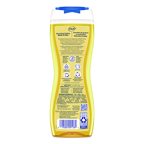 Dial Body Wash Advanced Clean Gold, Original Gold, 16 oz, 6/Carton (09119)