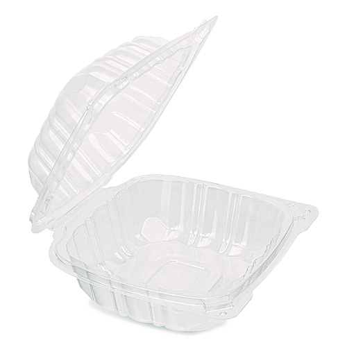 Karat Polypropylene Plastic Hinged Container, 6 x 6 x 3.3, Clear, Plastic, 50/Pack, 6 Packs/Carton (FPHC66PP1C)