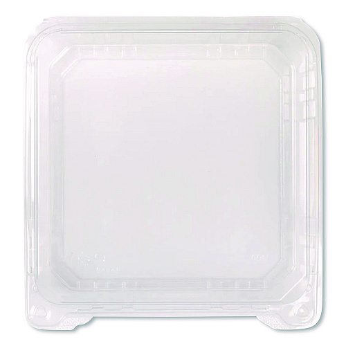Karat Polypropylene Plastic Hinged Container, 6 x 6 x 3.3, Clear, Plastic, 50/Pack, 6 Packs/Carton (FPHC66PP1C)