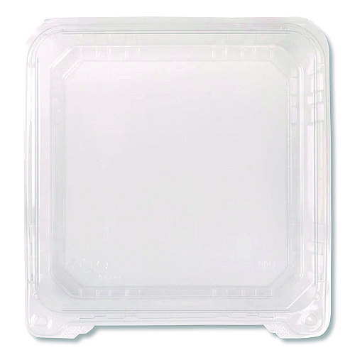Karat PET Plastic Hinged Container, 9 x 9 x 3.6, Clear, Plastic, 100/Pack, 2 Packs/Carton (FPHC99PET1C)