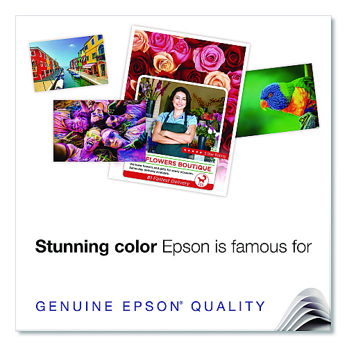 Epson SureLab Photo Paper Roll, 10 mil, 8" x 213 ft, Glossy White, 2/Pack (S450296)