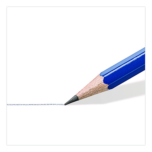 Staedtler Pre-Sharpened Wooden Pencils with (20) Block Erasers, HB #2 Black Lead, Blue Barrel, 250/Pack (13246C250)