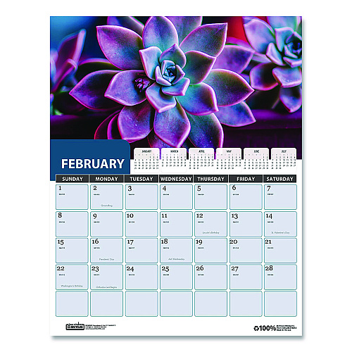 House of Doolittle Recycled Succulent and Cacti Wall Calendar, 14 x 11, Multicolor Sheets, 12-Month (Jan-Dec): 2026 (317)
