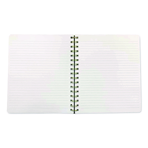 Carolina Paper Down to Earth Ideal Notebook, 3 Sections, Medium/College Rule, Randomly Assorted Cover Colors/Designs, (100) 8.75 x 7 Sheets (55041)