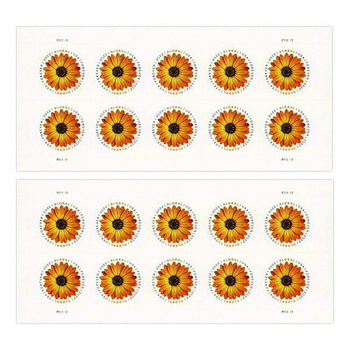 United States Postal Service Global Forever Stamps, Floral, 10 Stamps/Sheet, 2 Sheets/Pack (USPS4EVGLOB)