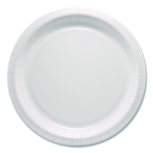 SOLO Compostable Paper Dinnerware, ProPlanet Seal, Plate, 10" dia, White, 500/Carton (HP10W)