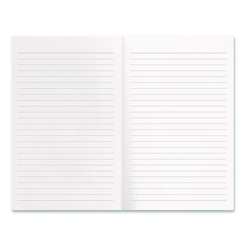 Denik Smoko Tayto Dragon Layflat Notebook, 1-Subject, Medium/College Rule, Orange/Yellow/White Cover, (72) 8 x 5 Sheets (LFC1902L)