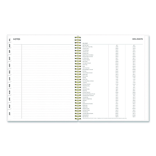 Blue Sky Ashley G Multicolor Smoke Academic Weekly/Monthly Planner, 11" x 8.5", Multicolor Cover, 12-Month (Jul-Jun): 2025 to 2026 (133681)