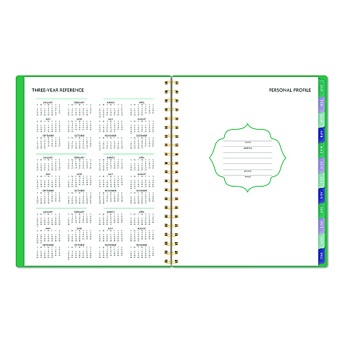 AT-A-GLANCE Badge Geo Weekly/Monthly Planner, 11 x 8.5, Green Cover, 13-Month (Jan-Jan): 2026 (1753G905)
