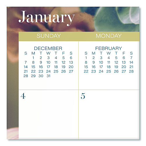 Cambridge Midnight Garden Monthly Wall Calendar, 15 x 12, Floral Artwork, 12-Month (Jan-Dec): 2026 (1768707)