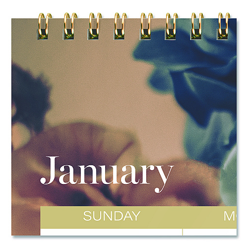 Cambridge Midnight Garden Monthly Wall Calendar, 15 x 12, Floral Artwork, 12-Month (Jan-Dec): 2026 (1768707)