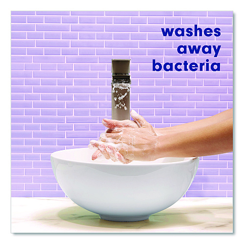 Softsoap Liquid Hand Soap Refills, Lavender Scent, 6/Carton (US07151ACT)