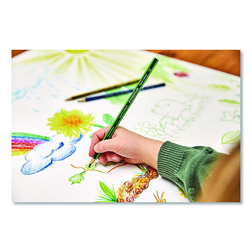 Staedtler Colored Pencils, Assorted Lead and Barrel Colors, 12/Pack (185C12A602)