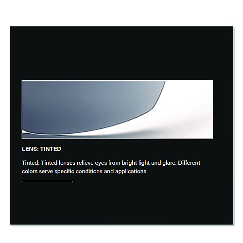 Bouton Anser Optical Safety Glasses, Black Frame, Gray Lens (250AN10112)