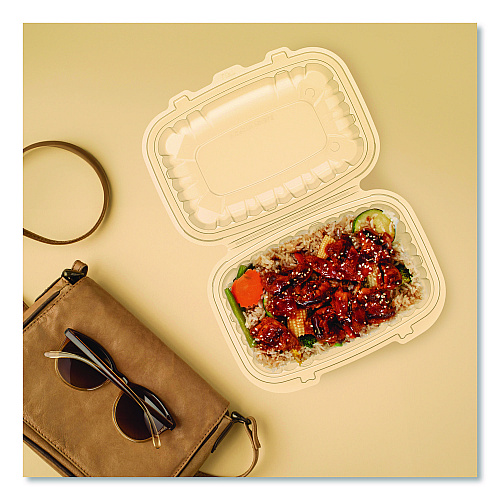 Dart Microwaveable Hinged Containers, ProPlanet, 6.5 x 9 x 3, Clear, Plastic, 300/Carton (69PPHT1)