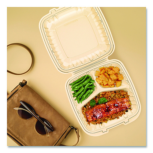 Dart Microwaveable Hinged Containers, ProPlanet, 3 Compartments, 9 x 8.75 x 3, Clear, Plastic,150/Carton (90PPHT3)