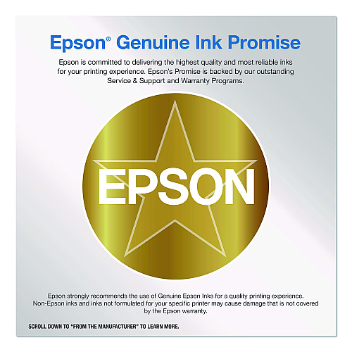 Epson T13S120 (T13S) DURABrite Pro Ink, 2,900 Page-Yield, Black