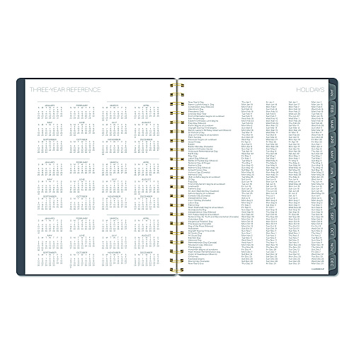 Cambridge Hera Weekly Monthly Planner, Wavy Lines, 11 x 8.5, Black/Gold Cover, 12-Month (Jan to Dec): 2026 (1765905)