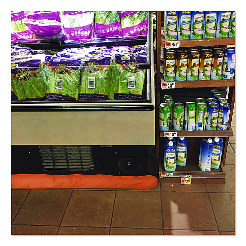 Quick Dam Indoor Bucket Kit, (1) Bucket, (25) 4 ft Water Dams (WUGG425)