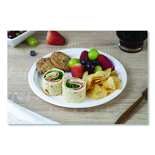 ChampWare Molded Fiber Tableware, Molded Fiber Plate, 9" dia, White, 125 Plates/Sleeve, 4 Sleeves/Carton