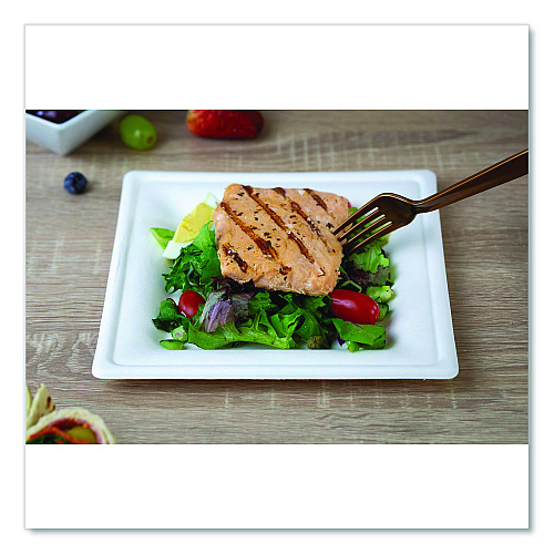 ChampWare Molded Fiber Tableware, Square Molded Fiber Plate, 8" x 8", White, 125 Plates/Sleeve, 4 Sleeves/Carton