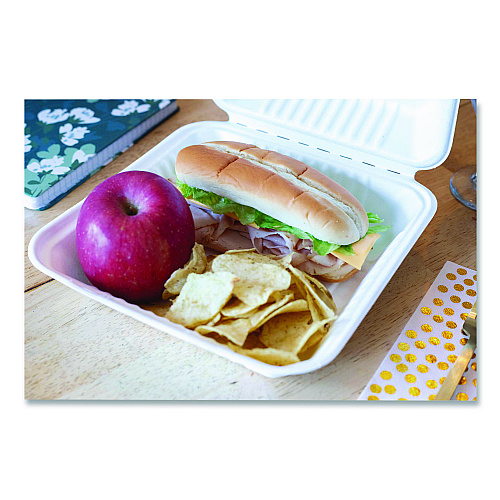ChampWare Molded-Fiber Clamshell Containers, 9 x 9 x 3, White, 100/Sleeve, 2 Sleeves/Carton