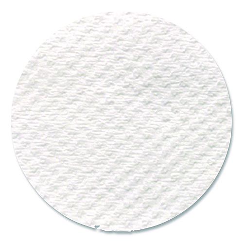 Livi VPG Select Kitchen Roll Towel, 2-Ply, 5 x 11, White, 170 Sheets/Roll, 24 Rolls/Carton (41508)