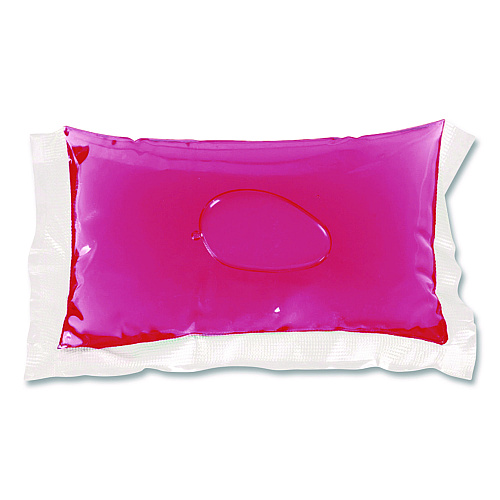 PAK-IT Vehicle Wash and Sheet, Uncented, 50 Packets (547820003200)