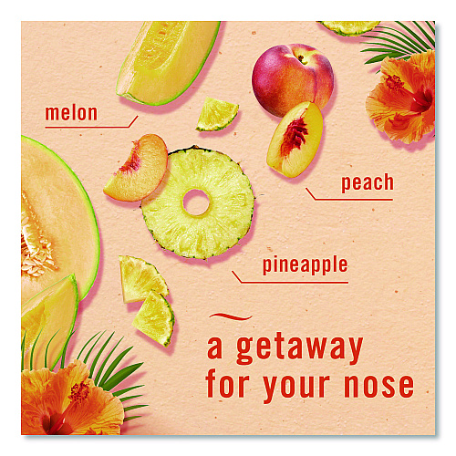 Febreze AIR, Hawaiian Aloha, 8.8 oz Aerosol Spray, 2/Pack, 3 Packs/Carton (17342)