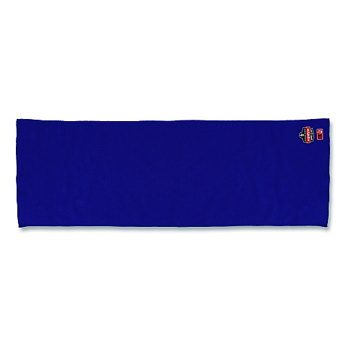 ergodyne Chill-Its 6606FR FR Cooling Towel, Modacrylic Knit, One Size Fits Most, Blue (12437)