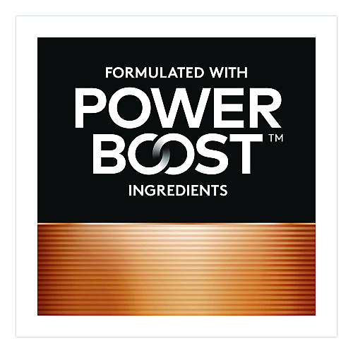 Duracell Power Boost Copper Top Alkaline AA Batteries, 24/Pack (MN1500B240PK)