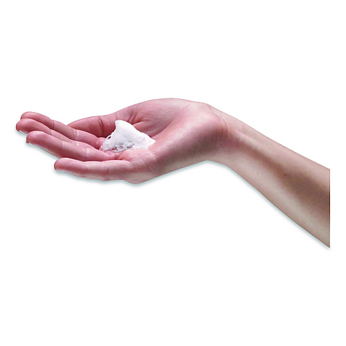 Brighton Professional Foaming Hand Soap Refill for BP Dispenser, Fruity Scent, 1,250 mL, 4/Carton (BPR59206)