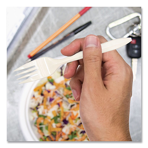 SOLO Style Setter Medium Weight Polypropylene Cutlery, Fork, Plastic, White, 1,000/Carton (F6OW)