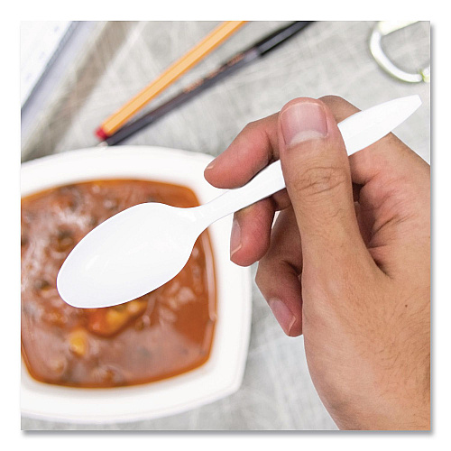 SOLO Style Setter Medium Weight Polypropylene Cutlery, Teaspoon, Plastic, White, 1,000/Carton (S6OW)