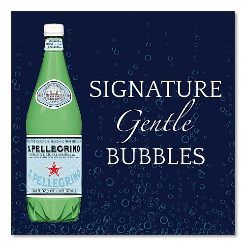 SanPellegrino Sparkling Water Bottles, Unflavored, 16.9 oz Bottle, 24/Carton (22002683)