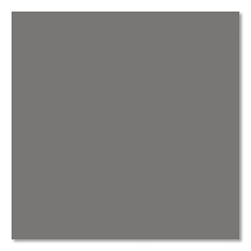 Rust-Oleum Professional Spray Paint, Flat Gray, 15 oz Aerosol Can, 6/Carton (7582838CT)