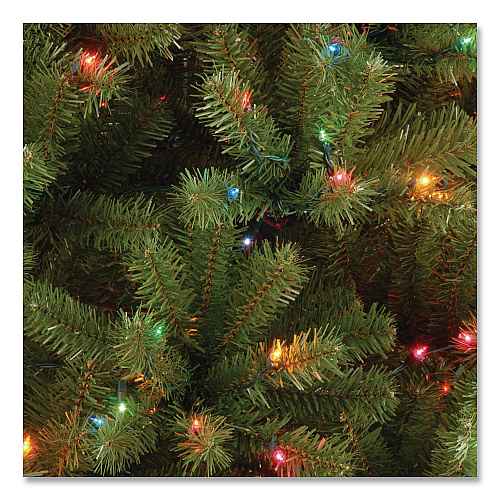 National Tree Company Pre-Lit North Valley Spruce Tree, 42" x 42" x 78", Green Tree, Green Tree Stand (NRV730165)