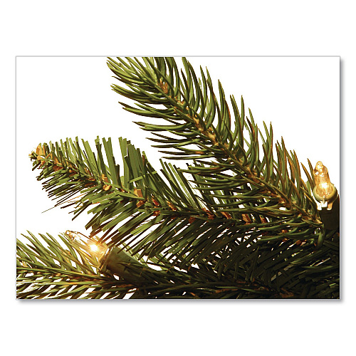 National Tree Company Pre-Lit Grande Fir Pencil Slim Tree, 30" x 30" x 78", Green Tree, Green Tree Stand (PEGF433465)