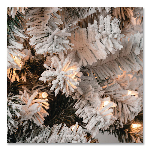 National Tree Company Pre-Lit Acacia Flocked Slim Tree, 35" x 35" x 108", Green Tree, Green Tree Stand (AC10030090F)
