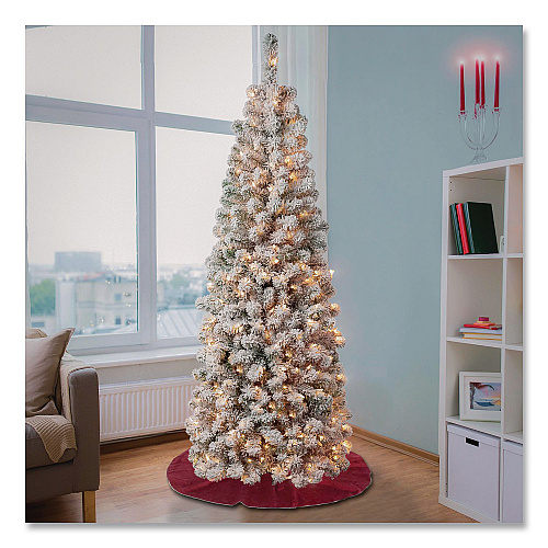 National Tree Company Pre-Lit Acacia Flocked Slim Tree, 24" x 24" x 70.8", Green Tree, Green Tree Stand (AC10030460F)