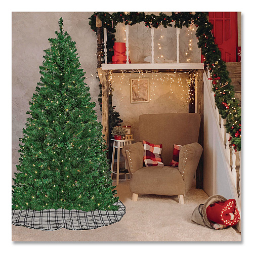 National Tree Company Pre-Lit Acacia Tree, 37" x 37" x 70.8", Green Tree, Green Tree Stand (AC10030860)