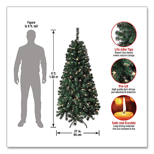National Tree Company Pre-Lit Acacia Tree, 37" x 37" x 70.8", Green Tree, Green Tree Stand (AC10030860)