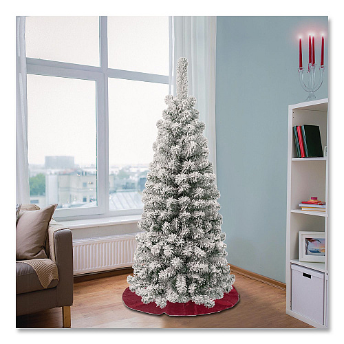 National Tree Company Acacia Pencil Slim Flocked Tree, 21" x 21" x 53.1", Green Tree, Green Tree Stand (AC10050445F)
