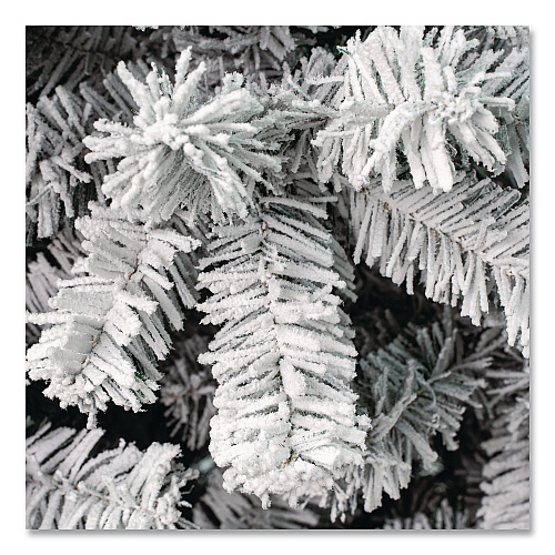 National Tree Company Acacia Pencil Slim Flocked Tree, 21" x 21" x 53.1", Green Tree, Green Tree Stand (AC10050445F)