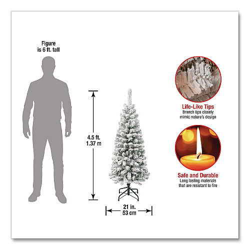 National Tree Company Acacia Pencil Slim Flocked Tree, 21" x 21" x 53.1", Green Tree, Green Tree Stand (AC10050445F)