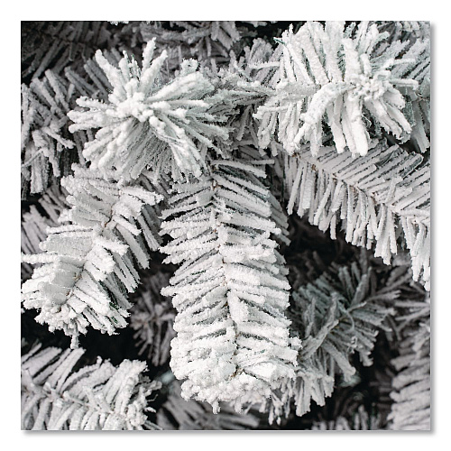 National Tree Company Acacia Pencil Slim Flocked Tree, 26" x 26" x 88.5", Green Tree, Green Tree Stand (AC10050475F)