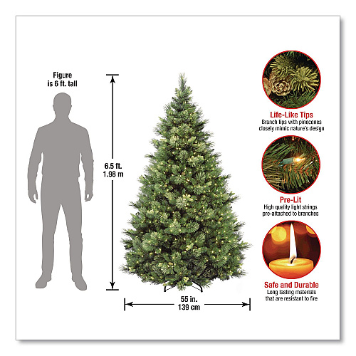 National Tree Company Pre-Lit Carolina Pine Tree, 55" x 55" x 78", Green Tree, Green Tree Stand (CAP330665)