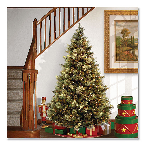 National Tree Company Pre-Lit Carolina Pine Tree, 58" x 58" x 84", Green Tree, Green Tree Stand (CAP330670)