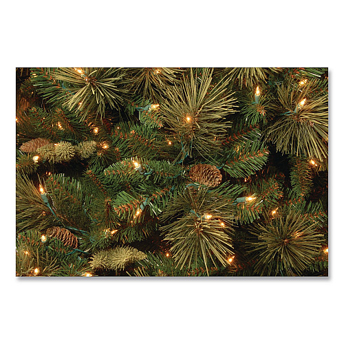 National Tree Company Pre-Lit Carolina Pine Tree, 58" x 58" x 84", Green Tree, Green Tree Stand (CAP330670)