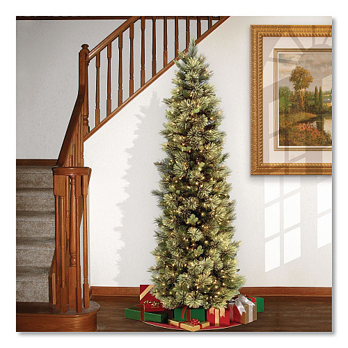 National Tree Company Pre-Lit Carolina Pine Slim Tree, 29" x 29" x 78", Green Tree, Green Tree Stand (CAP333065)